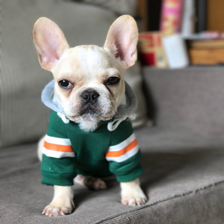Warm Stylish Pet Sweater For Everyday Comfort