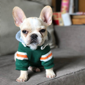 Warm Stylish Pet Sweater For Everyday Comfort