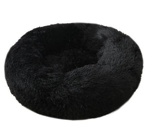 The Perfect Haven for Your Furry Friends