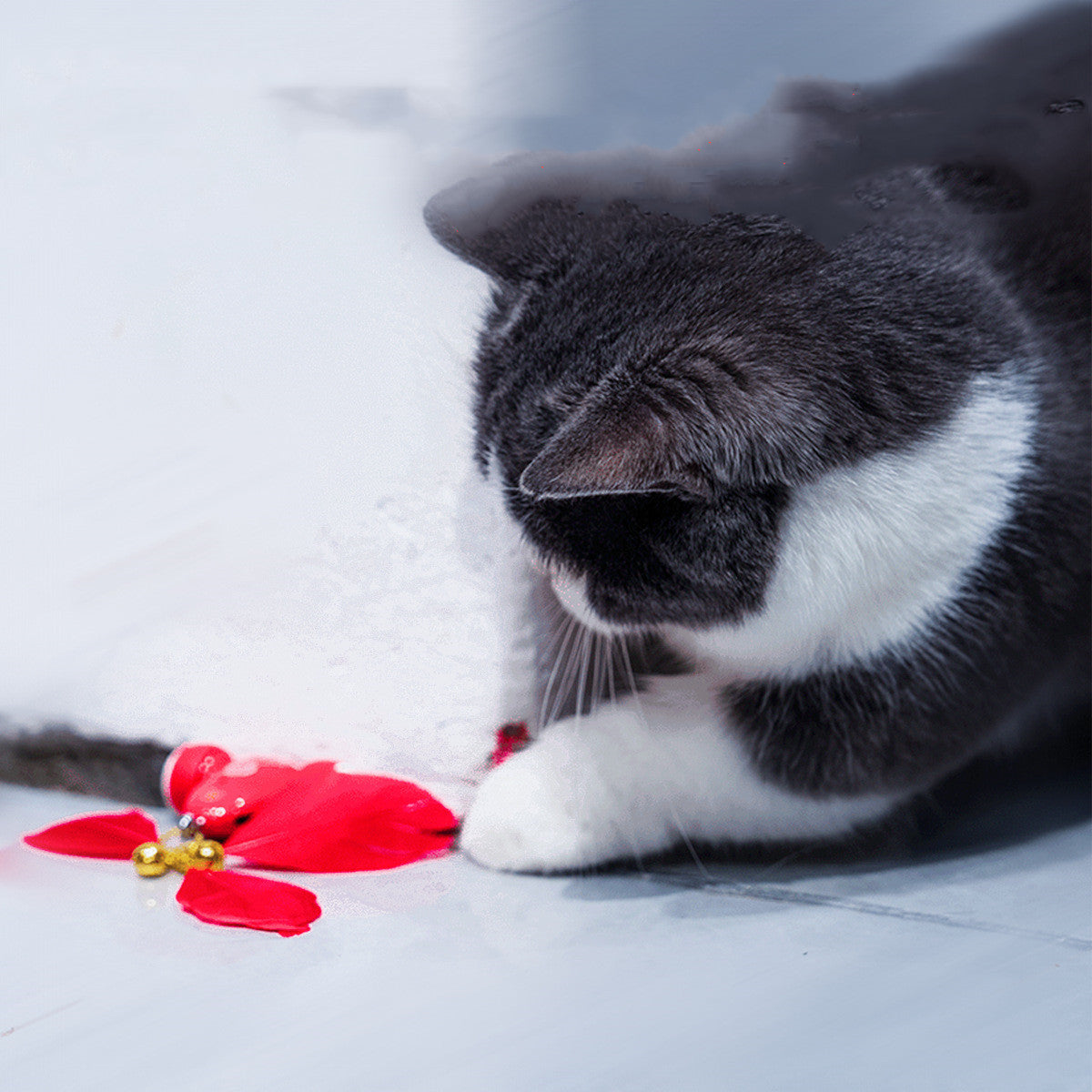 The Must-Have Automatic Interactive Pet Toy