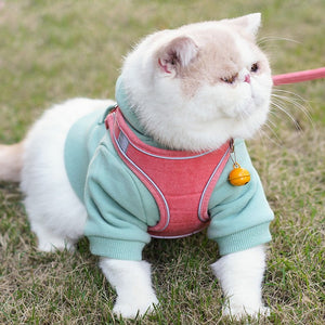 Vest Style Pet Chest Harness With Leash